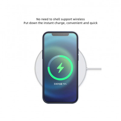 For iPhone 11 Pro Max Cover For iPhone 12 Pro Max Mini Full Cover With Box,Original For Magsafe Magnetic Liquid Silicone Case ' />