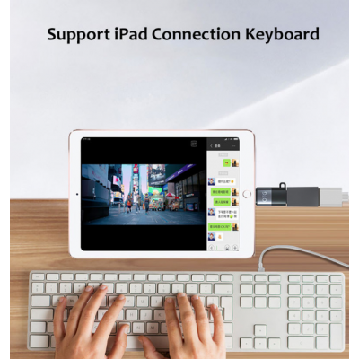 Adaptador USB tipo C a OTG de 8 pines Convertidor de cable de datos de carga rápida para auriculares Tipo C hembra a adaptador OTG de iluminación' />